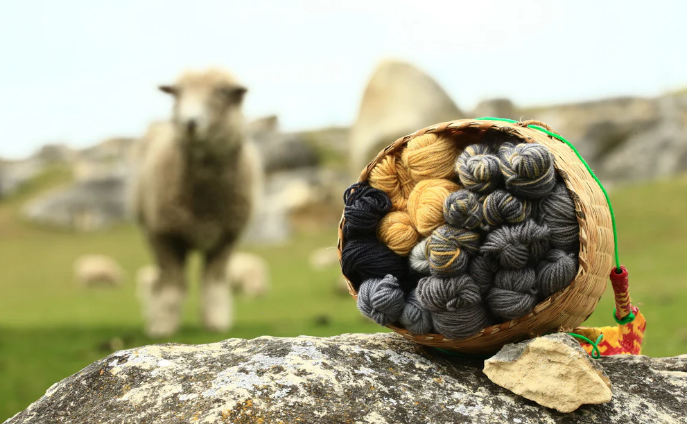 wool is eco friendly